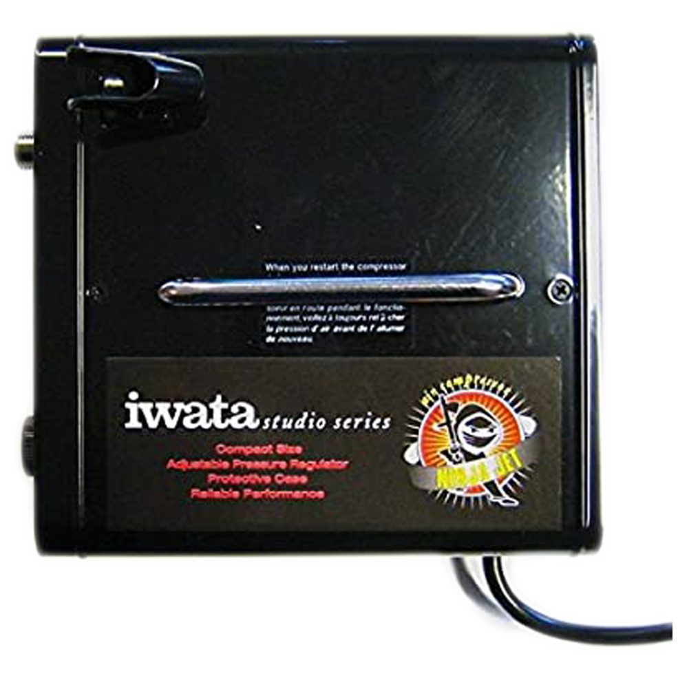 Anest Iwata